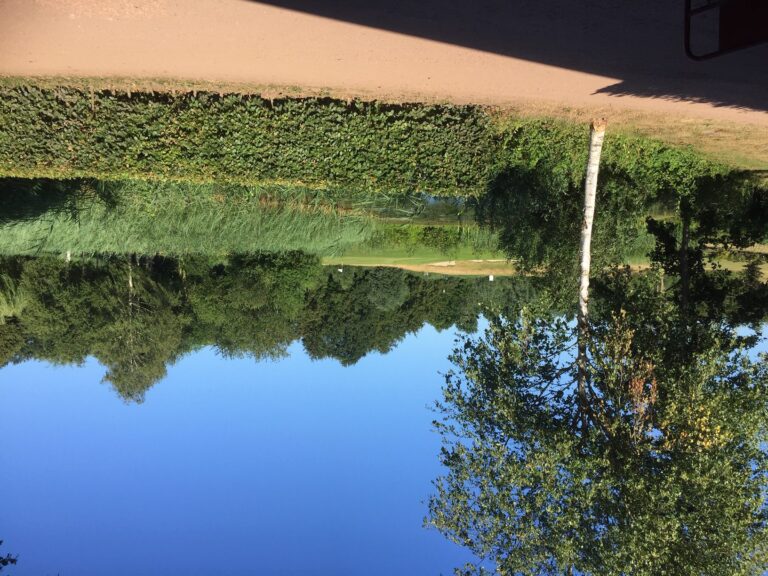 Wat ons verder nog ter ore&nbsp;kwam…