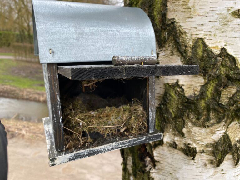 Natuur in de&nbsp;baan…