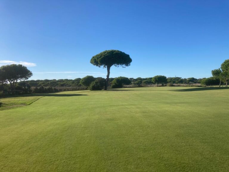 Countdown naar het nieuwe seizoen