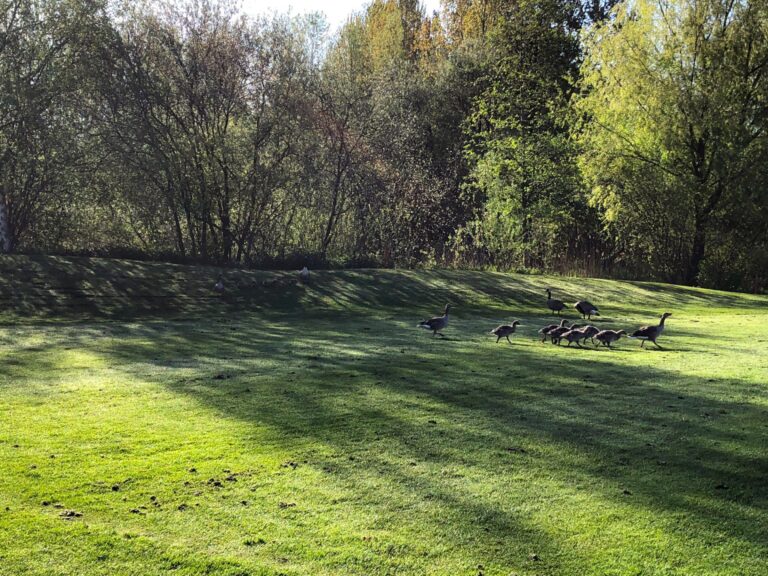 Natuur in de&nbsp;baan…