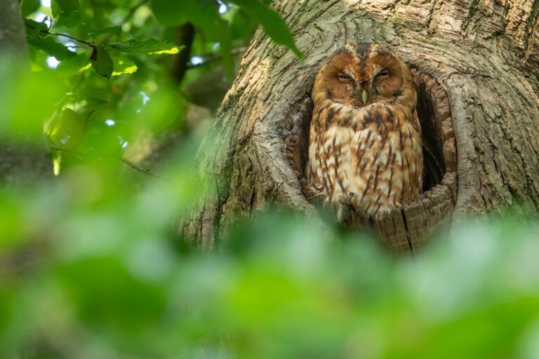 Natuur in de&nbsp;baan…