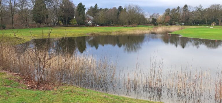 Nieuwjaarsreceptie 2024