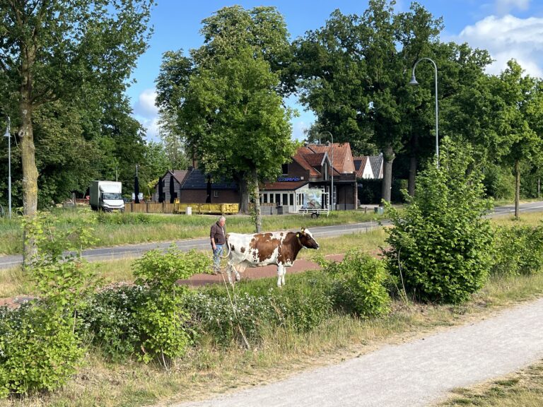 Bijzondere natuurverschijnselen…
