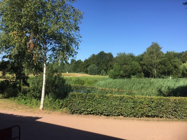 Businesscompetitie finaledag