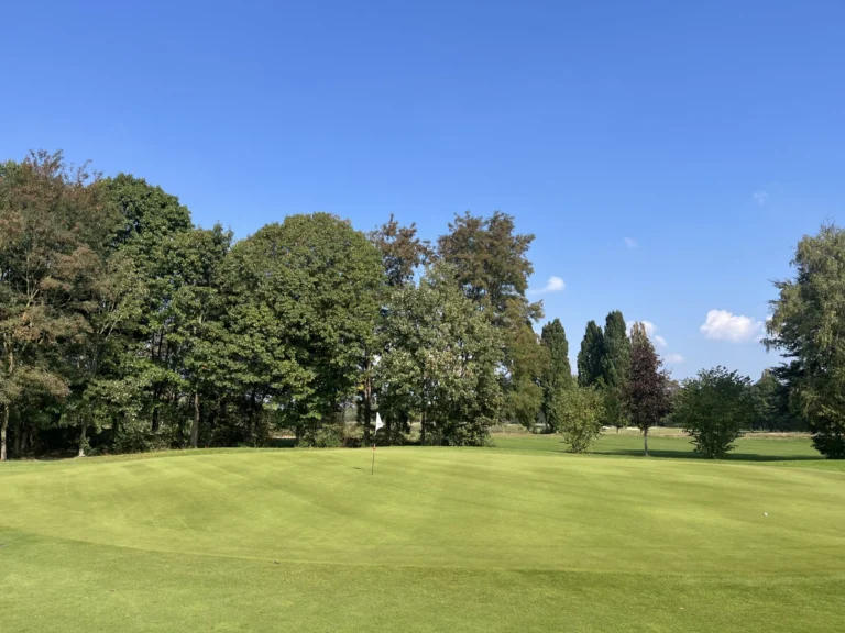 Terugblik op het eerste jaar